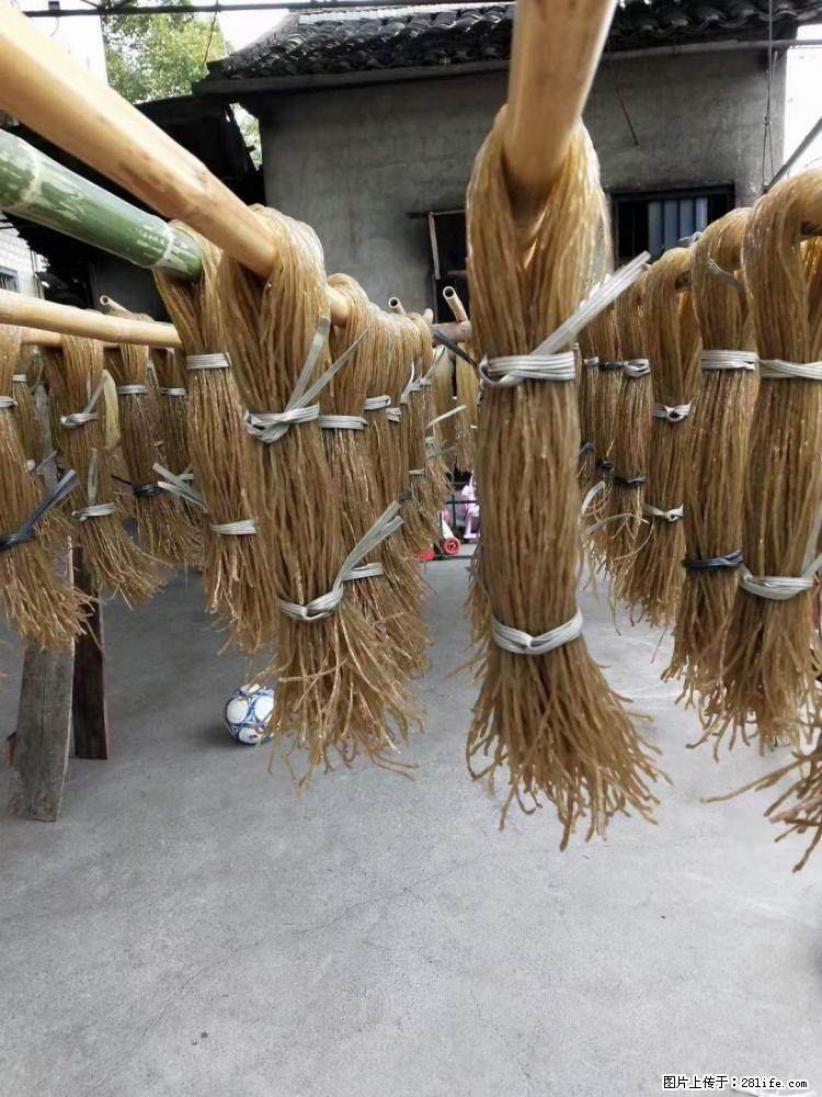 【灌阳正宗红薯粉】美女家里自己做的，干净卫生，假一赔十，价格合理，抢购电话：13737312895 - 美食天地 - 漯河生活社区 - 漯河28生活网 luohe.28life.net