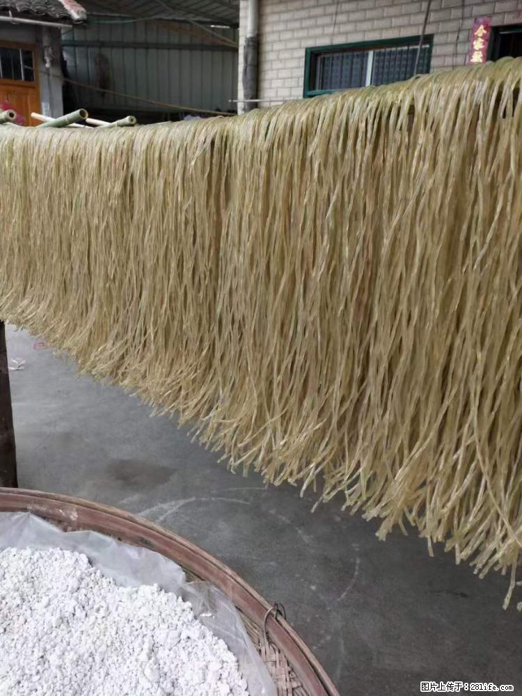 【灌阳正宗红薯粉】美女家里自己做的，干净卫生，假一赔十，价格合理，抢购电话：13737312895 - 美食天地 - 漯河生活社区 - 漯河28生活网 luohe.28life.net