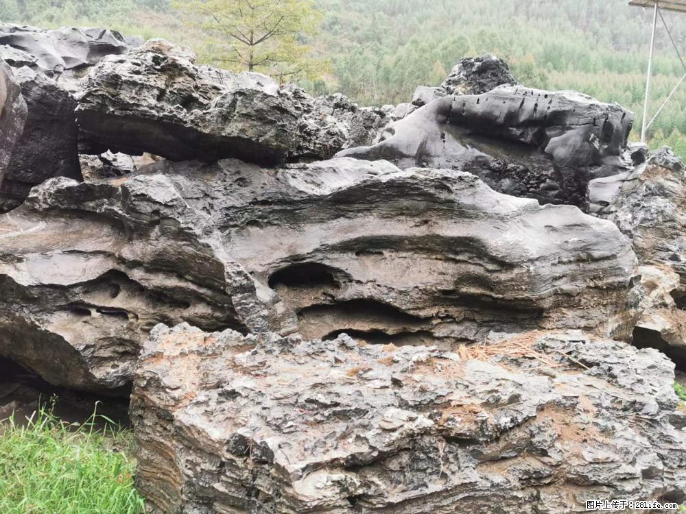 风景石、假山石大量有货，有需要的欢迎联系 - 新手上路 - 漯河生活社区 - 漯河28生活网 luohe.28life.net