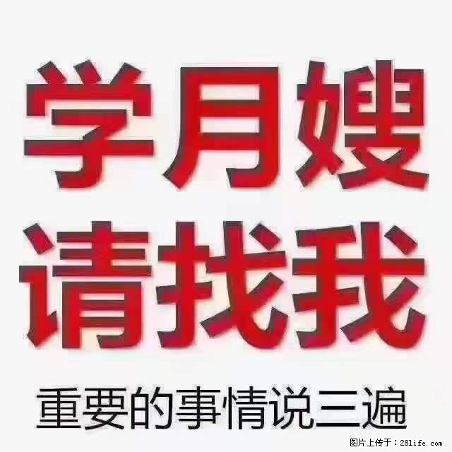 为什么要学习月嫂，育婴师？ - 新手上路 - 漯河生活社区 - 漯河28生活网 luohe.28life.net