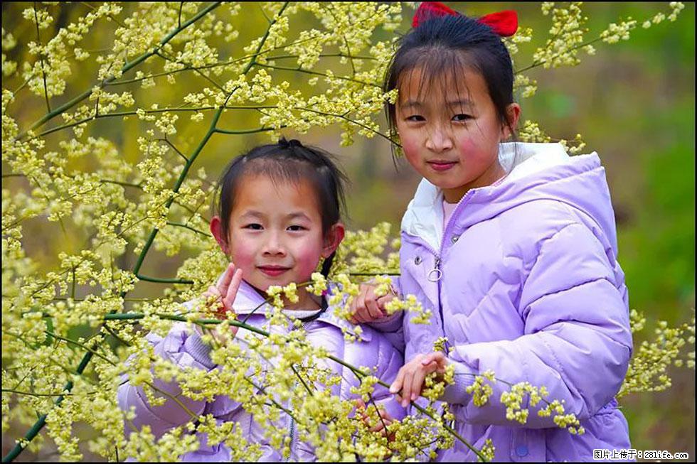 【春天，广西桂林灌阳县向您发出邀请！】米珠山前有片山苍子花在飘香 - 游山玩水 - 漯河生活社区 - 漯河28生活网 luohe.28life.net