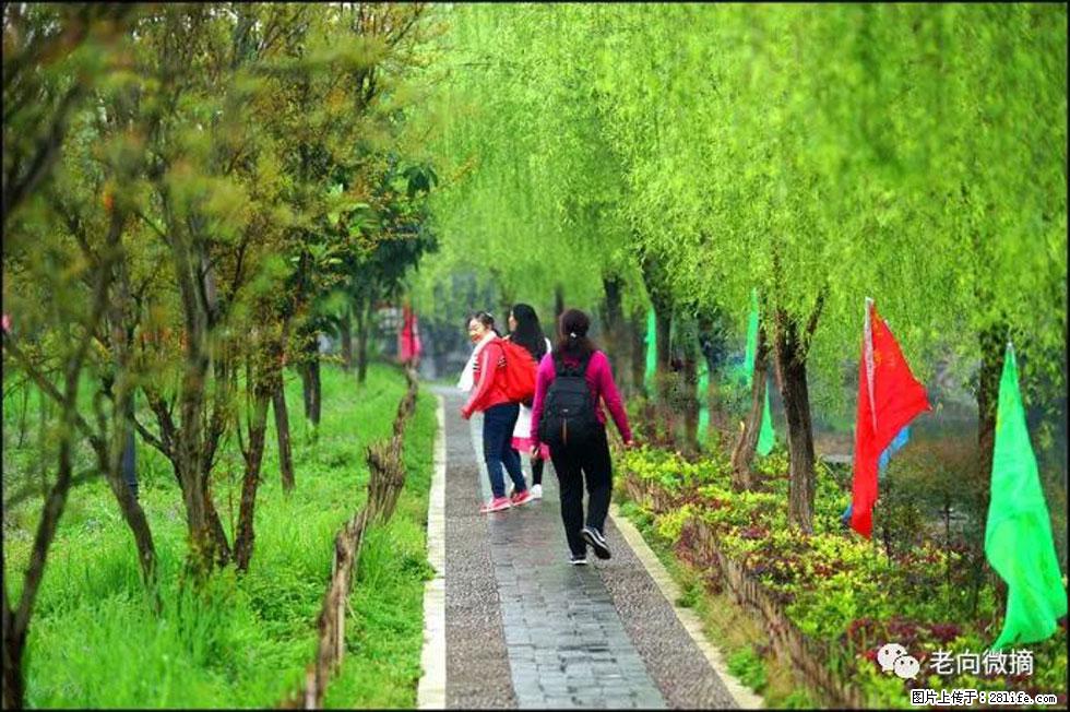 【春天，广西桂林灌阳县向您发出邀请！】江口老街又逢春 - 游山玩水 - 漯河生活社区 - 漯河28生活网 luohe.28life.net