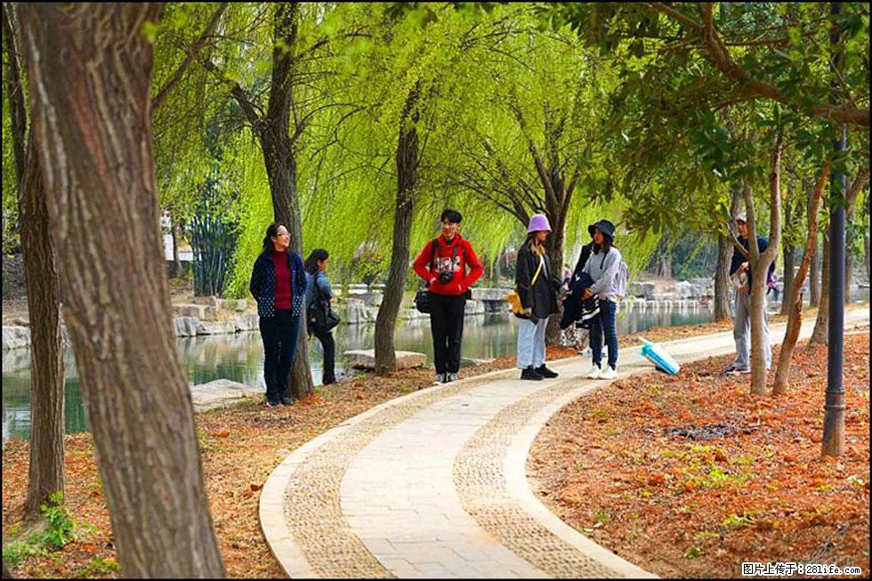【春天，广西桂林灌阳县向您发出邀请！】江口老街又逢春 - 游山玩水 - 漯河生活社区 - 漯河28生活网 luohe.28life.net