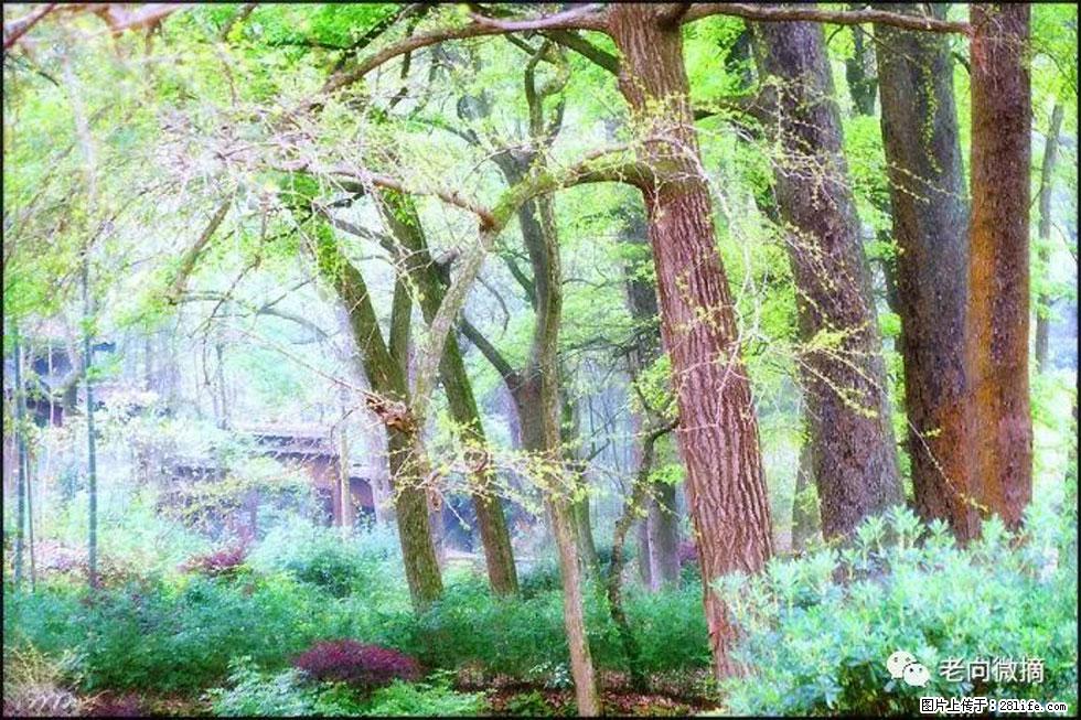 【春天，广西桂林灌阳县向您发出邀请！】在小龙村与春天约会 - 游山玩水 - 漯河生活社区 - 漯河28生活网 luohe.28life.net
