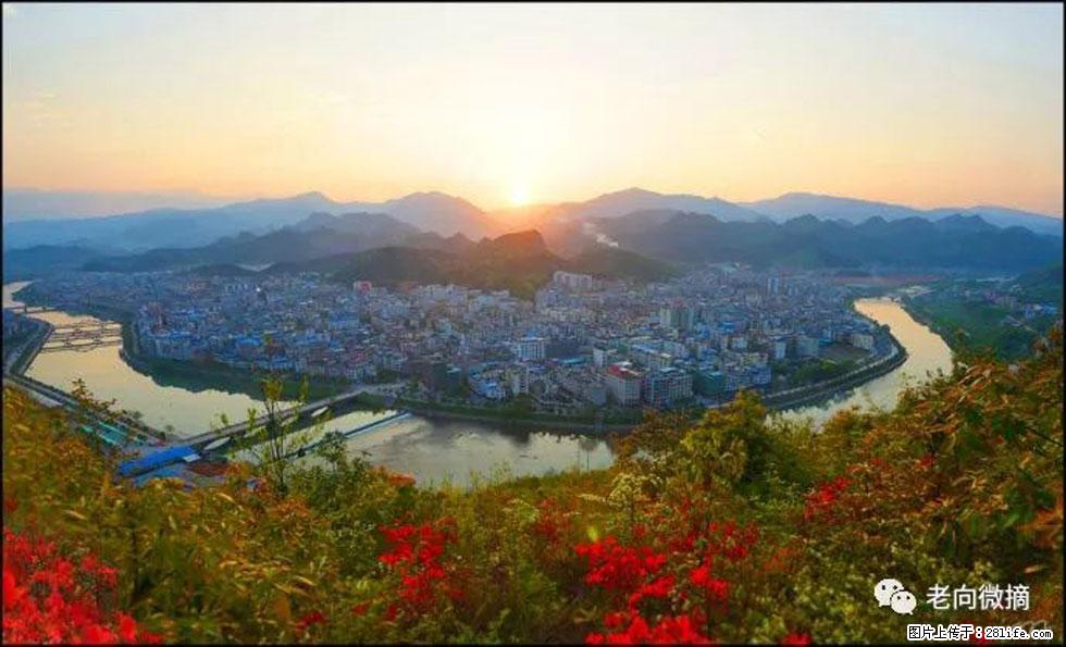 【春天，广西桂林灌阳县向您发出邀请！】登麒麟山，相约映山红 - 游山玩水 - 漯河生活社区 - 漯河28生活网 luohe.28life.net