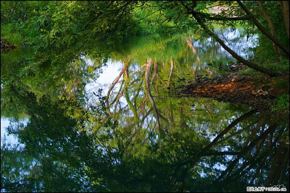 【春天，广西桂林灌阳县向您发出邀请！】熊家寨湿地公园 - 游山玩水 - 漯河生活社区 - 漯河28生活网 luohe.28life.net