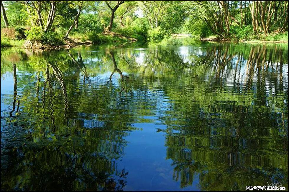 【春天，广西桂林灌阳县向您发出邀请！】熊家寨湿地公园 - 游山玩水 - 漯河生活社区 - 漯河28生活网 luohe.28life.net