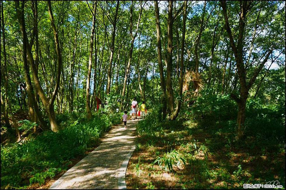 【春天，广西桂林灌阳县向您发出邀请！】熊家寨湿地公园 - 游山玩水 - 漯河生活社区 - 漯河28生活网 luohe.28life.net