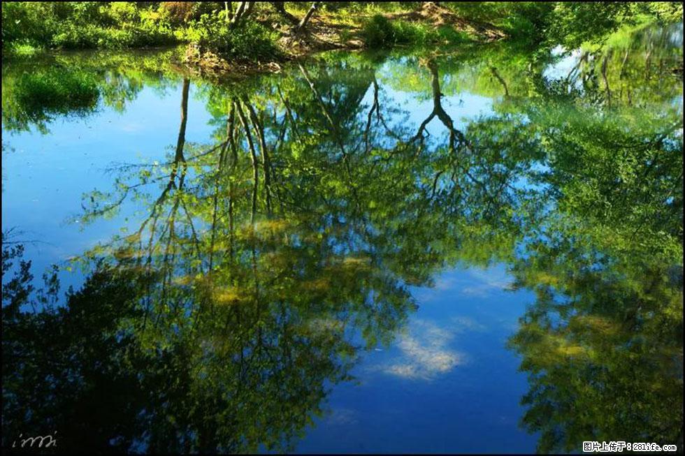 【春天，广西桂林灌阳县向您发出邀请！】熊家寨湿地公园 - 游山玩水 - 漯河生活社区 - 漯河28生活网 luohe.28life.net