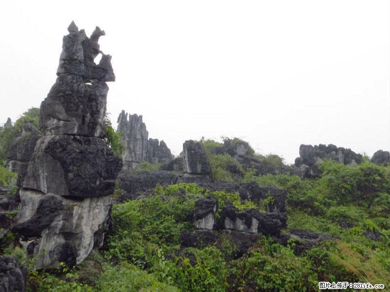 桂林旅游名城景点：灌阳文市石林 - 游山玩水 - 漯河生活社区 - 漯河28生活网 luohe.28life.net