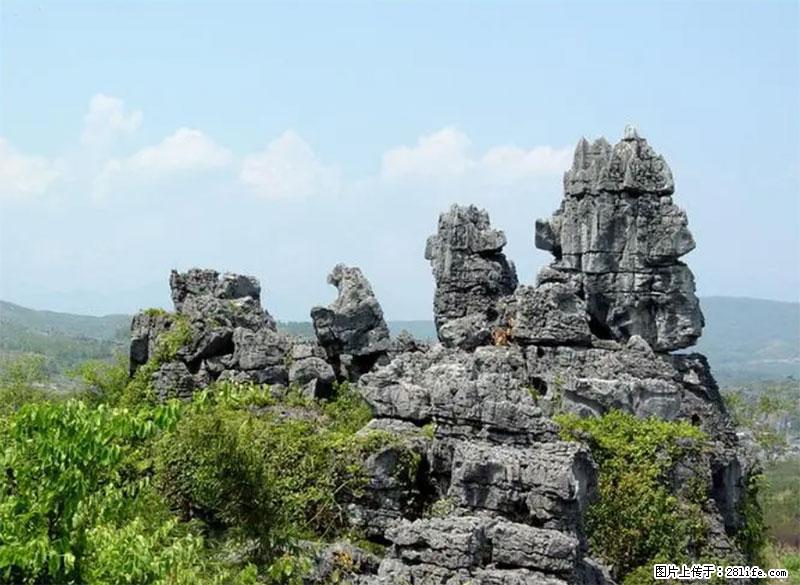 桂林旅游名城景点：灌阳文市石林 - 游山玩水 - 漯河生活社区 - 漯河28生活网 luohe.28life.net