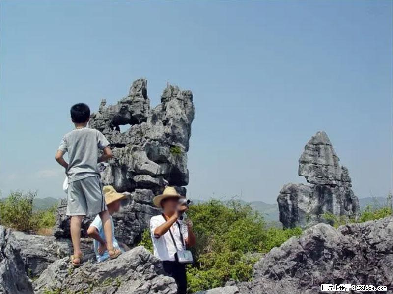 桂林旅游名城景点：灌阳文市石林 - 游山玩水 - 漯河生活社区 - 漯河28生活网 luohe.28life.net
