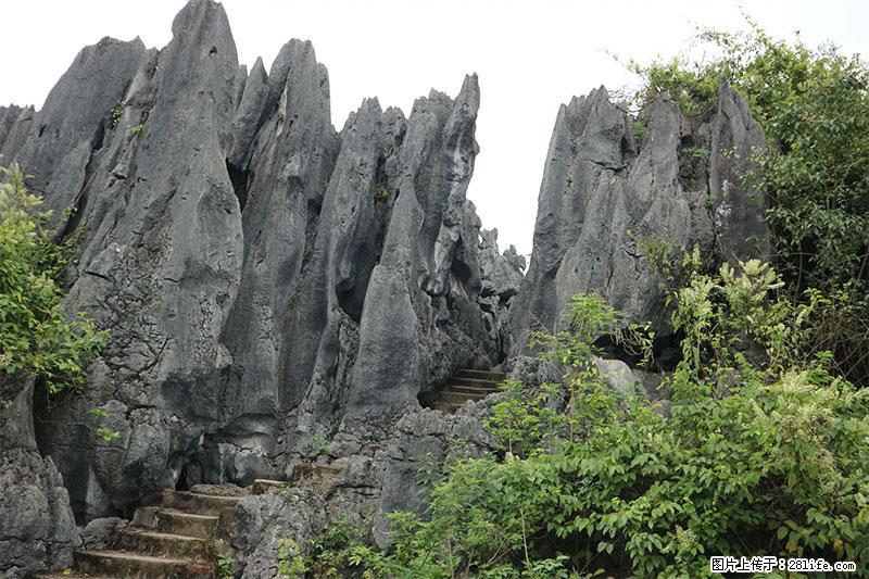桂林旅游名城景点：灌阳文市石林 - 游山玩水 - 漯河生活社区 - 漯河28生活网 luohe.28life.net