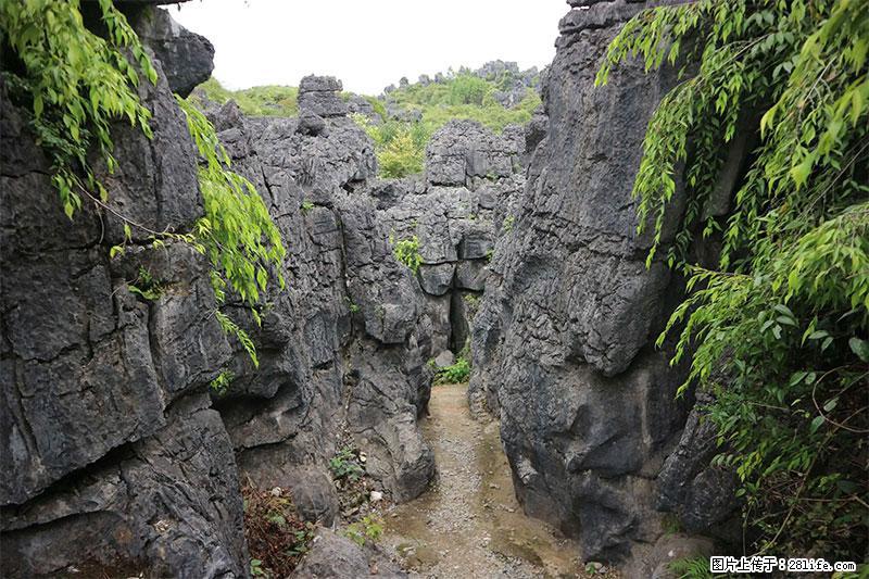 桂林旅游名城景点：灌阳文市石林 - 游山玩水 - 漯河生活社区 - 漯河28生活网 luohe.28life.net