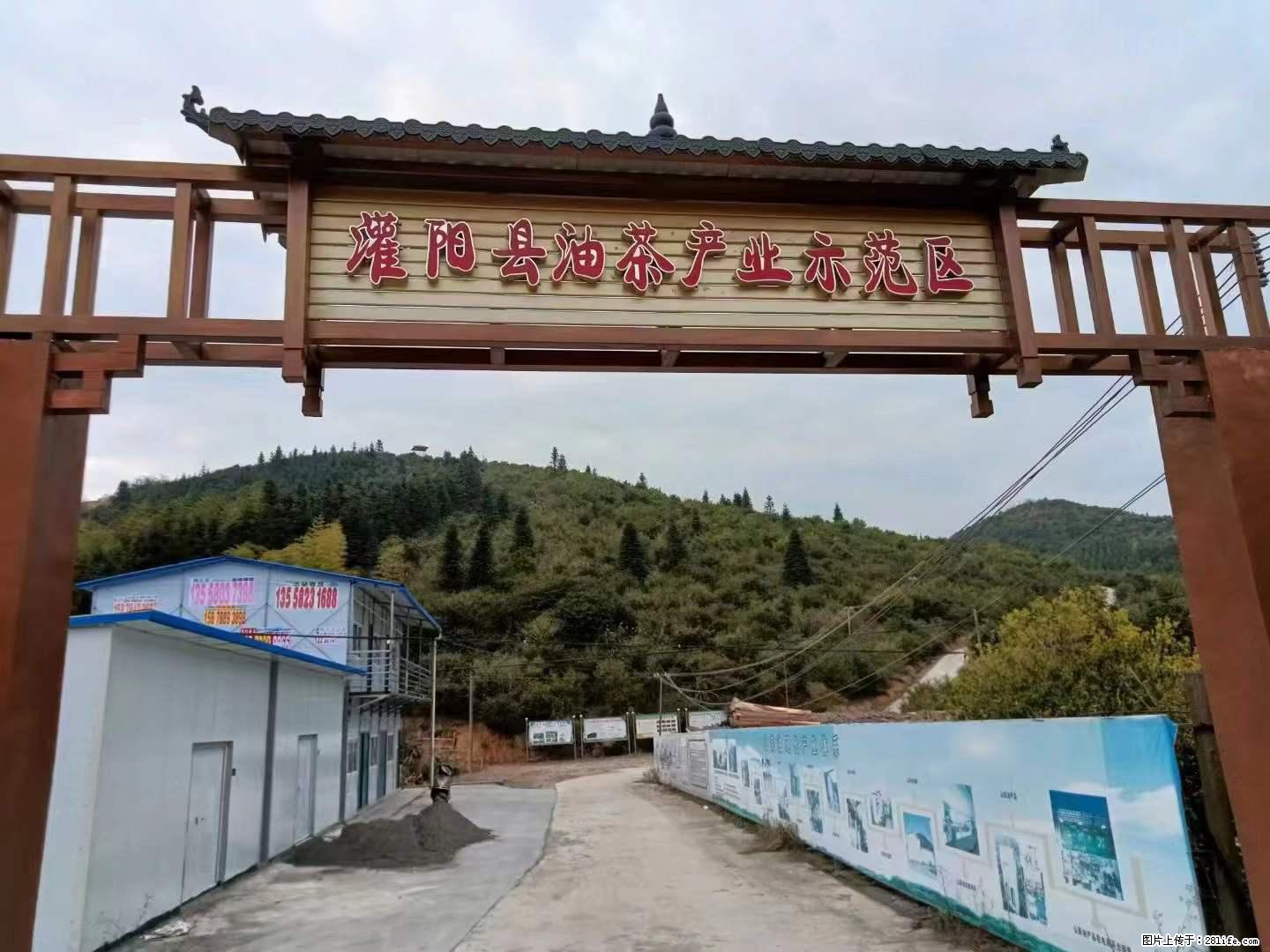 【灌阳县油茶产业示范区】一个有着充实的精神生活的人，对待身外之物自会有一种淡泊的态度 - 土特产 - 饮食特产 - 漯河分类信息 - 漯河28生活网 luohe.28life.net