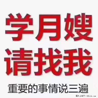 为什么要学习月嫂，育婴师？ - 漯河28生活网 luohe.28life.net