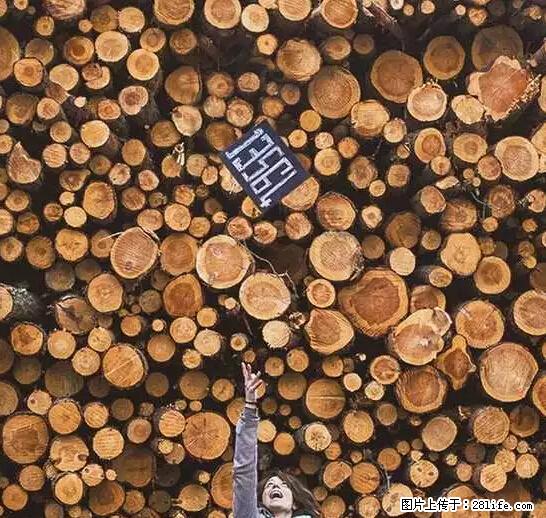 辞掉工作周游世界？现在他们在洗厕所…… - 游山玩水 - 漯河生活社区 - 漯河28生活网 luohe.28life.net