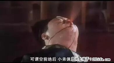笑癫了！一女的怀孕三年未生，他终于忍不住了... - 娱乐八卦 - 漯河生活社区 - 漯河28生活网 luohe.28life.net