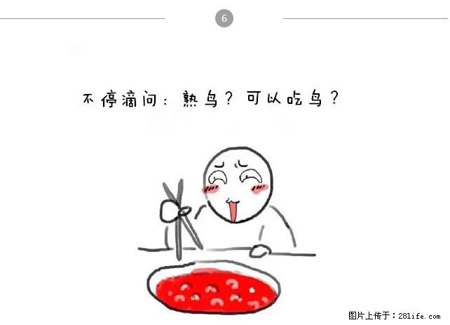 千万不要和这9种哈卵一起吃火锅！ - 美食天地 - 漯河生活社区 - 漯河28生活网 luohe.28life.net