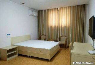 精装房屋出租，可整租，可日租 - 漯河28生活网 luohe.28life.net