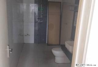 建业森林半岛39号公寓，17楼，简装修，适合办公人事随时看房 - 漯河28生活网 luohe.28life.net