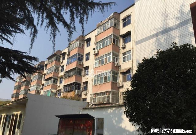 人民路漯河电视台家属院精装3室2厅1卫拎包入住 - 房屋出租 - 房屋租售 - 漯河分类信息 - 漯河28生活网 luohe.28life.net
