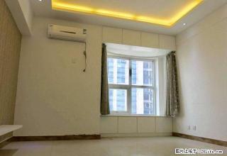 舒曼金钻，单身公寓，精装拎包入住家具家电齐全随时看房 - 漯河28生活网 luohe.28life.net