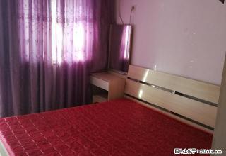泰威丽景苑出租2室1厅，精装修，家电齐全，拎包入住，可看房 - 漯河28生活网 luohe.28life.net