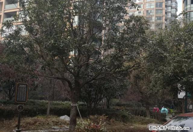 简单装修，适合办公，临近金沙滩公园。 - 房屋出租 - 房屋租售 - 漯河分类信息 - 漯河28生活网 luohe.28life.net