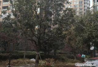 简单装修，适合办公，临近金沙滩公园。 - 漯河28生活网 luohe.28life.net