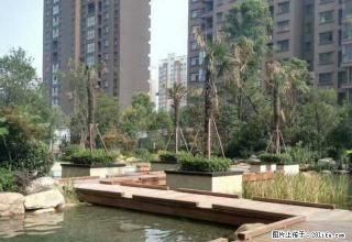 昌建外滩2室1厅1卫(个人) - 漯河28生活网 luohe.28life.net