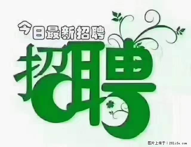 【招聘】产康师 - 职场交流 - 漯河生活社区 - 漯河28生活网 luohe.28life.net