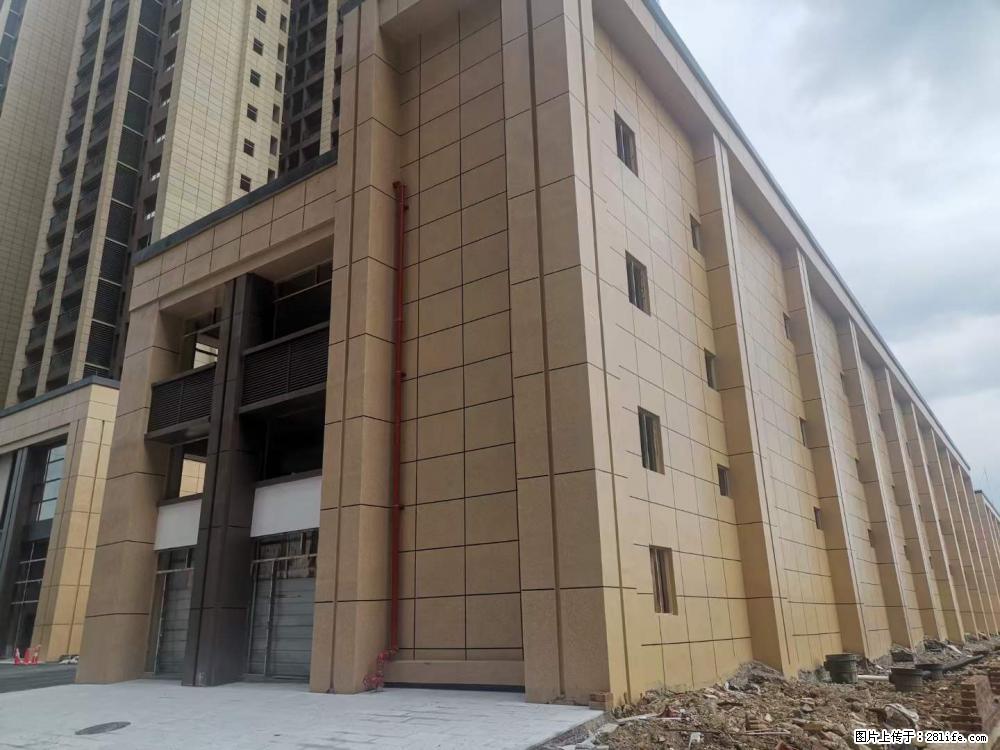 【广西三象建筑安装工程有限公司】外墙涂料工程 - 新手上路 - 漯河生活社区 - 漯河28生活网 luohe.28life.net