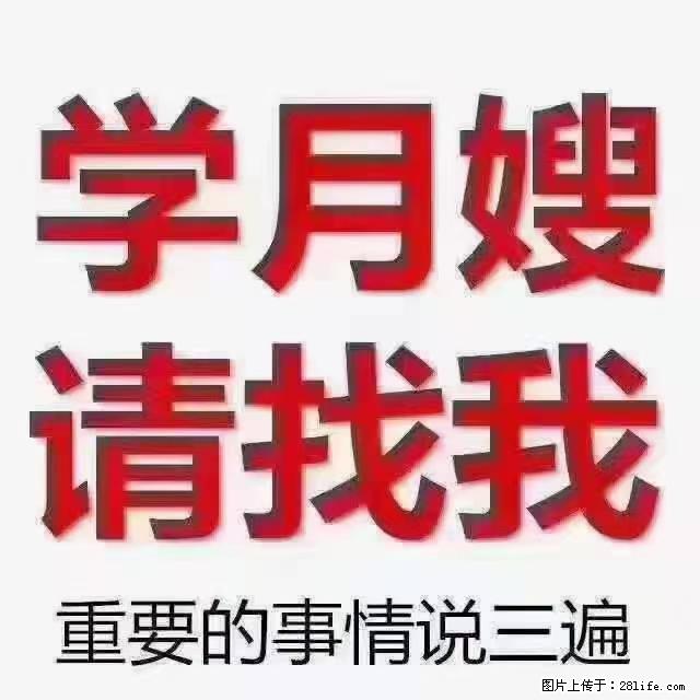 【招聘】月嫂，上海徐汇区 - 职场交流 - 漯河生活社区 - 漯河28生活网 luohe.28life.net