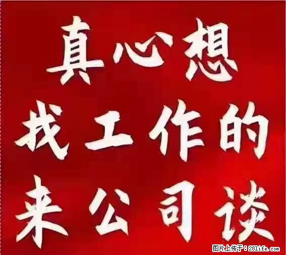 【上海】国企,医院招两名男保安,55岁以下,身高1.7米以上,无犯罪记录不良嗜好 - 职场交流 - 漯河生活社区 - 漯河28生活网 luohe.28life.net