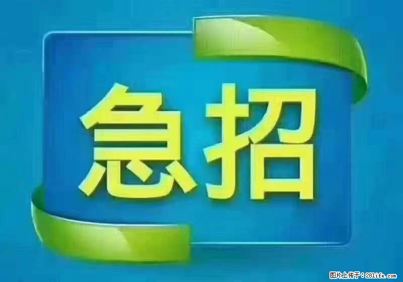 招财务，有会计证的，熟手会计1.1万底薪，上海五险一金，包住，包工作餐，做六休一 - 职场交流 - 漯河生活社区 - 漯河28生活网 luohe.28life.net