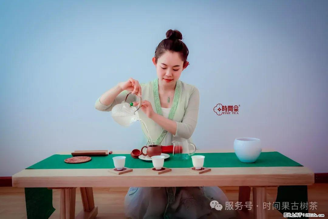 时间果百年古树龙珠普洱生茶 - 购物交流 - 漯河生活社区 - 漯河28生活网 luohe.28life.net