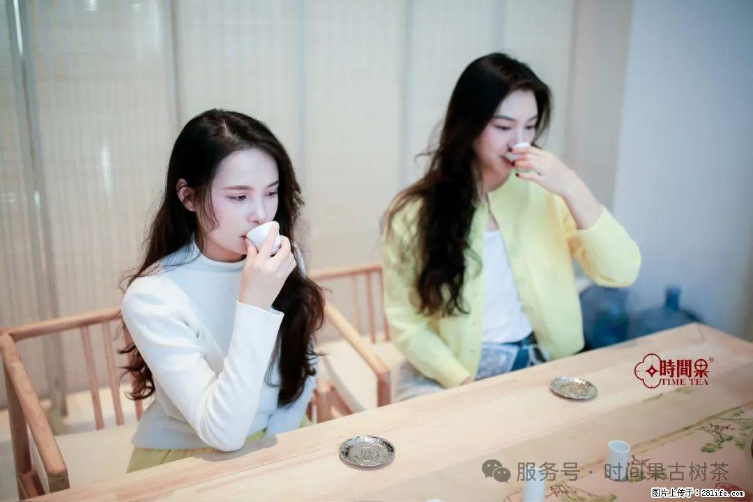 时间果百年古树龙珠普洱生茶 - 购物交流 - 漯河生活社区 - 漯河28生活网 luohe.28life.net