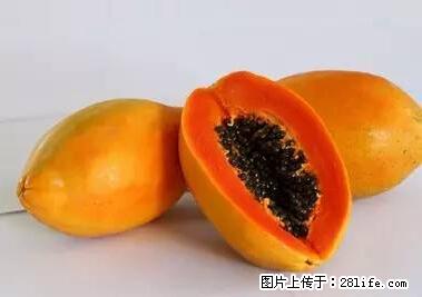 晕车、脚气、牙齿变黄、皮肤粗糙？学会这些三分钟搞定！ - 漯河生活资讯 - 漯河28生活网 luohe.28life.net