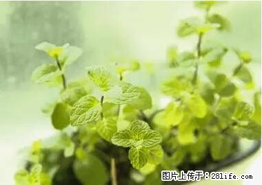 晕车、脚气、牙齿变黄、皮肤粗糙？学会这些三分钟搞定！ - 漯河生活资讯 - 漯河28生活网 luohe.28life.net