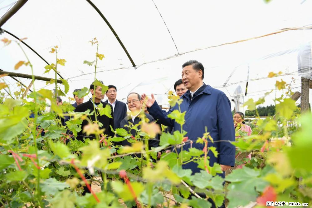 习近平赴广西考察调研 - 漯河生活资讯 - 漯河28生活网 luohe.28life.net