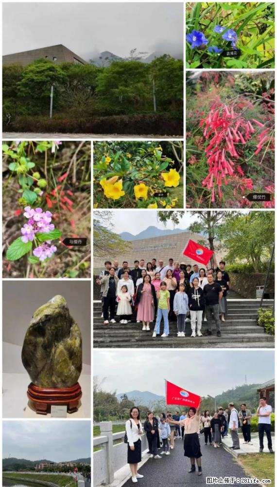 “粤灌文化 美好生活”油茶文化主题活动在广东深圳成功举办 - 漯河生活资讯 - 漯河28生活网 luohe.28life.net