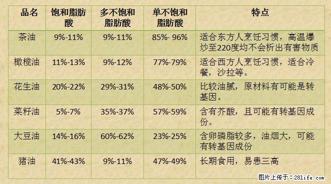 揭秘茶油的5大核心营养成分！被称为人体健康的“守护盾”！ - 漯河生活资讯 - 漯河28生活网 luohe.28life.net