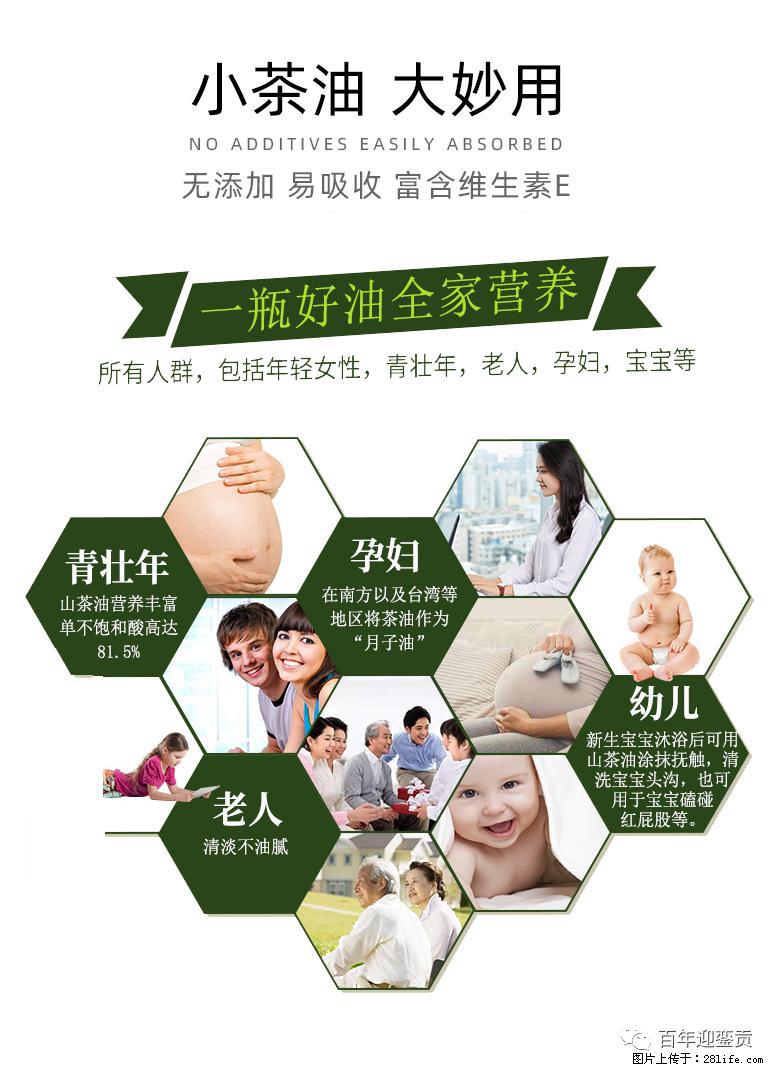 世界没有真相，只有认知，最好的食用油是中国的山茶油！ - 漯河生活资讯 - 漯河28生活网 luohe.28life.net
