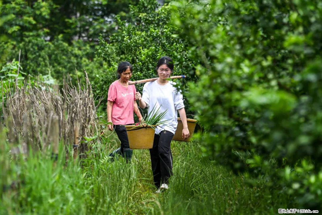 全网追的“扁担女孩”，找了一份暑假工，时薪12元 - 漯河生活资讯 - 漯河28生活网 luohe.28life.net