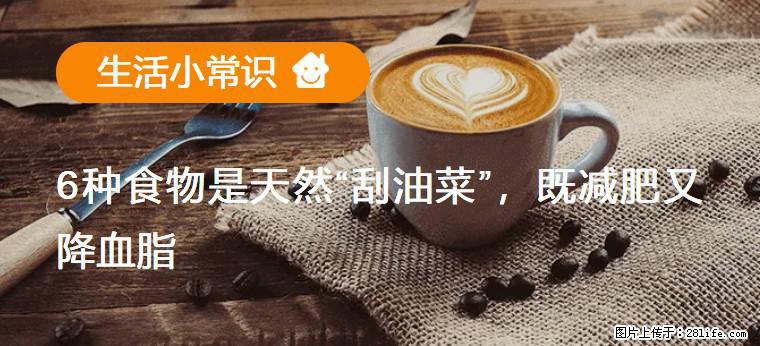 【生活小常识】6种食物是天然“刮油菜”，既减肥又降血脂 - 漯河生活资讯 - 漯河28生活网 luohe.28life.net