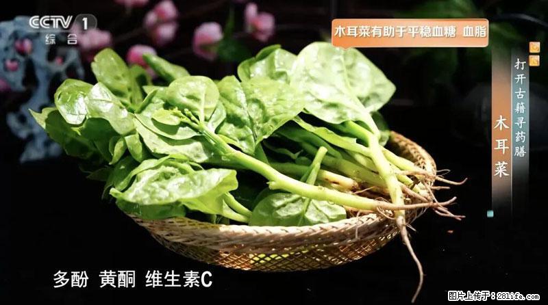比牛奶补钙还厉害！凉血解毒、稳血糖...这菜冬天必吃，很多人却当草 - 漯河生活资讯 - 漯河28生活网 luohe.28life.net