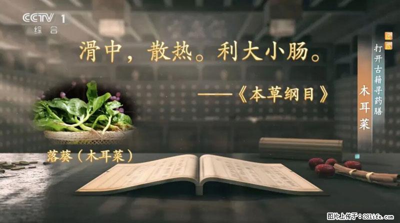 比牛奶补钙还厉害！凉血解毒、稳血糖...这菜冬天必吃，很多人却当草 - 漯河生活资讯 - 漯河28生活网 luohe.28life.net