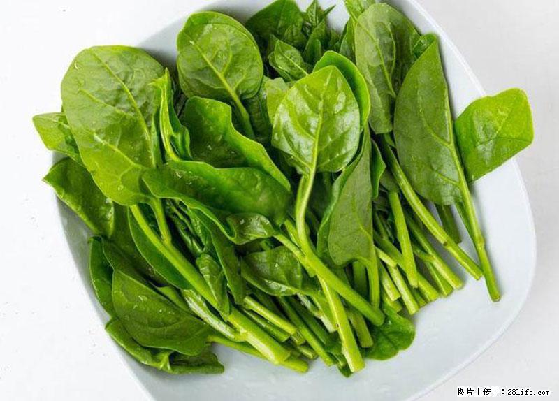 这些蔬菜是“天然钙片”,这6种被医生重点推荐 - 漯河生活资讯 - 漯河28生活网 luohe.28life.net