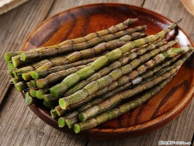 铁皮石斛的作用与功能主治 - 漯河生活资讯 - 漯河28生活网 luohe.28life.net